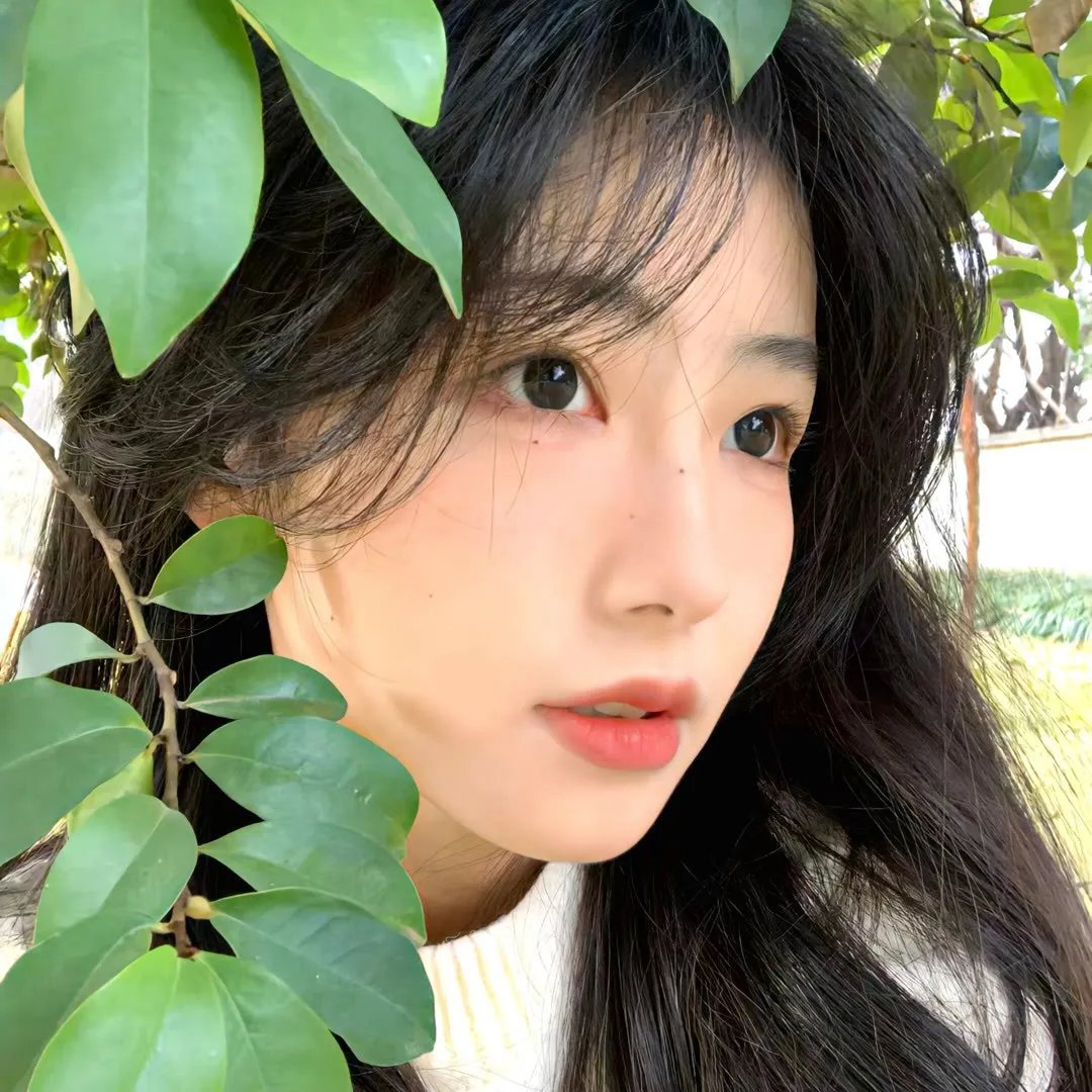 女皇加冕记